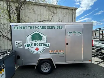 Vehicle Graphics Photo